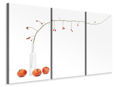 3-piece-canvas-print-rose-hip-branch-with-pomegranates