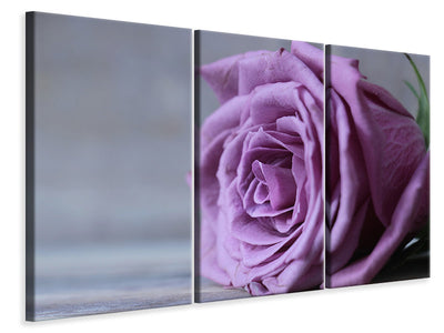 3-piece-canvas-print-rose-in-purple-xxl
