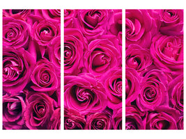 3-piece-canvas-print-rose-petals-in-pink
