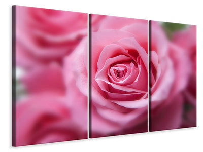 3-piece-canvas-print-roses-macro