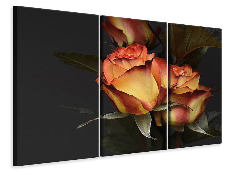 3-piece-canvas-print-roses-of-the-romance