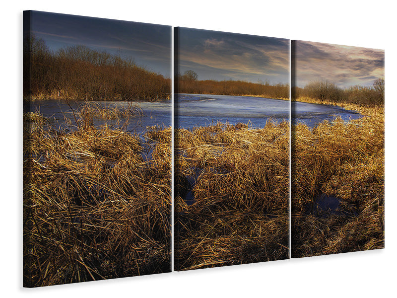 3-piece-canvas-print-rough-nature-landscape