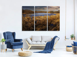 3-piece-canvas-print-rough-nature-landscape