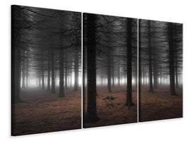 3-piece-canvas-print-silence-ii