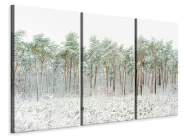 3-piece-canvas-print-snow-world