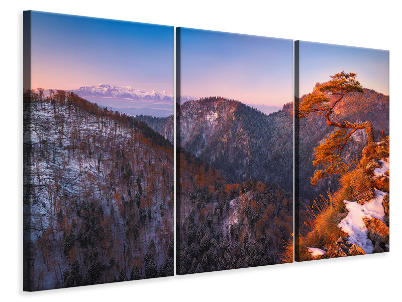 3-piece-canvas-print-sokolica