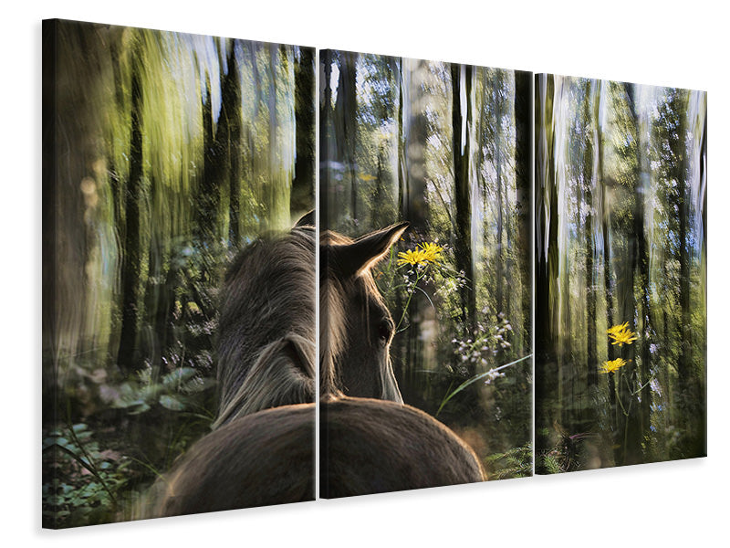 3-piece-canvas-print-sound-are-forest