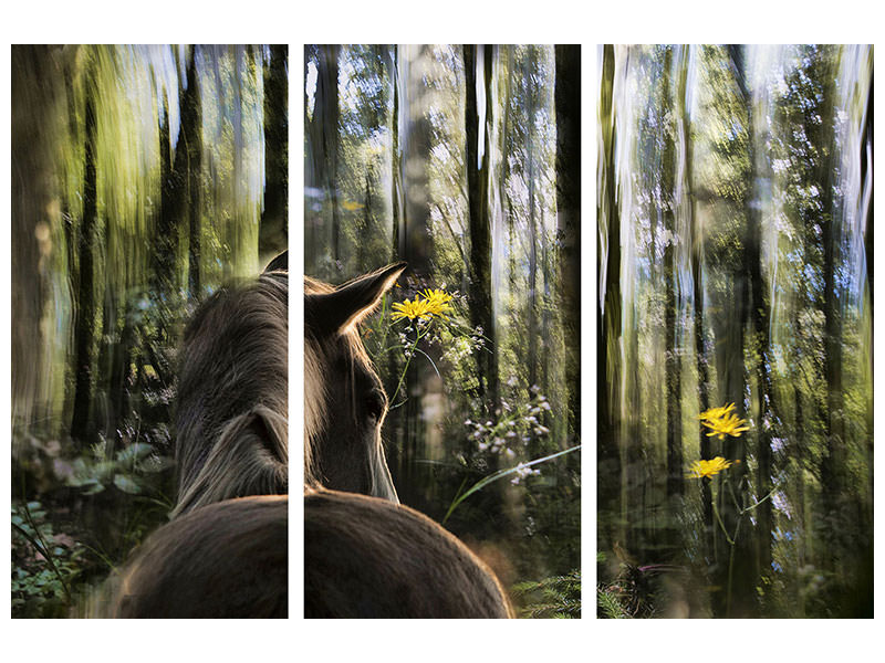 3-piece-canvas-print-sound-are-forest