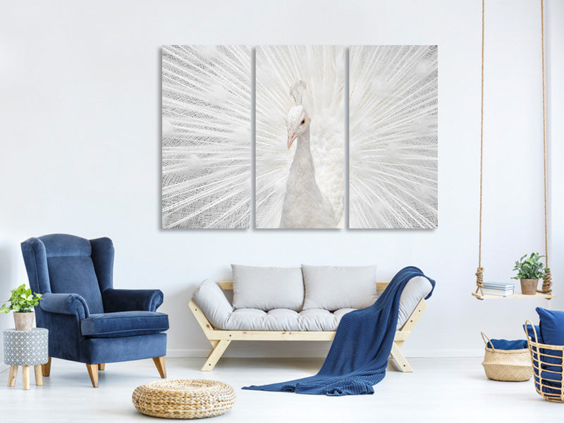 3-piece-canvas-print-splendid-whitie