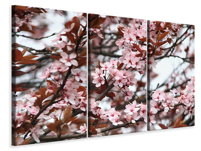 3-piece-canvas-print-spring-is-here