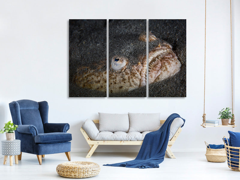 3-piece-canvas-print-stargazer