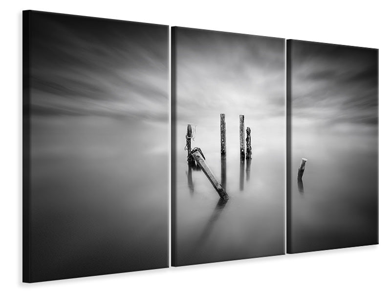 3-piece-canvas-print-sticks-ii