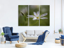 3-piece-canvas-print-stitchwort