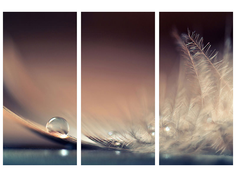 3-piece-canvas-print-stories-of-drops