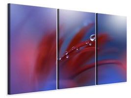 3-piece-canvas-print-strange-feelings