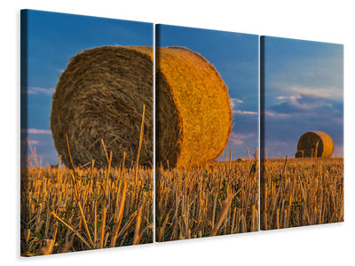 3-piece-canvas-print-straw-bales