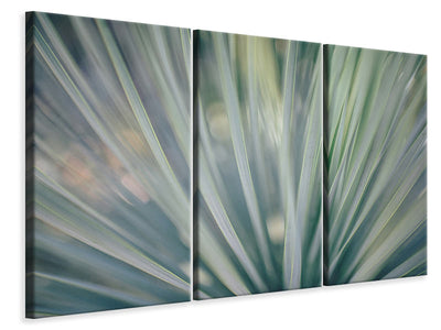 3-piece-canvas-print-strip-of-plant