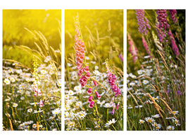 3-piece-canvas-print-summer-flower-meadow