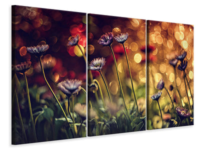 3-piece-canvas-print-summer-flowers