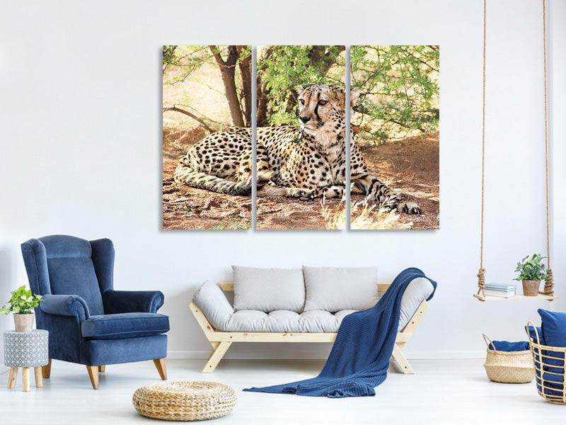 3-piece-canvas-print-sun-cheetah