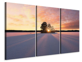 3-piece-canvas-print-sun-kissed