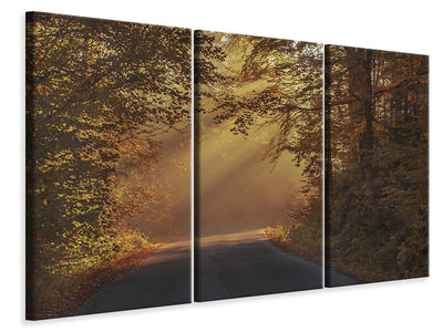 3-piece-canvas-print-sunbeams-in-the-forest