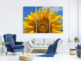 3-piece-canvas-print-sunflower-in-xxl