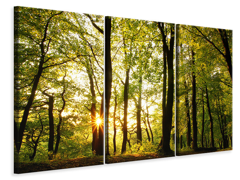 3-piece-canvas-print-sunset-between-trees