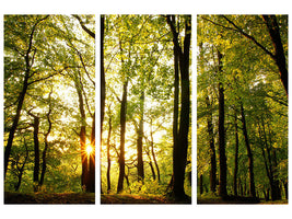 3-piece-canvas-print-sunset-between-trees