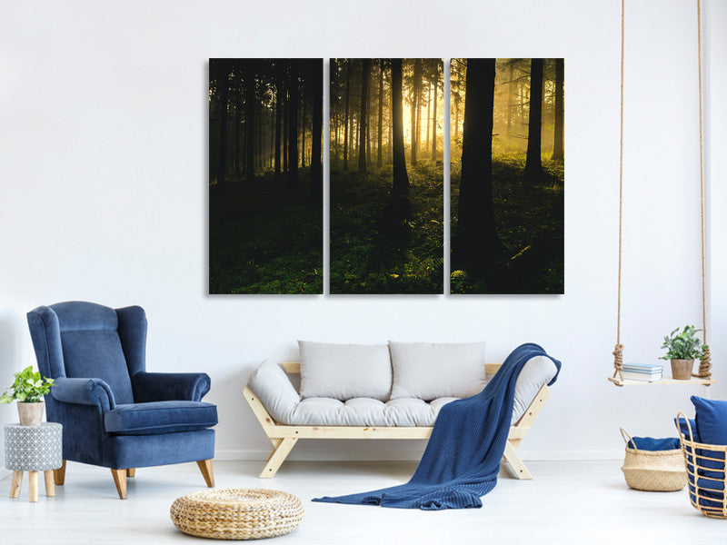 3-piece-canvas-print-sunset-in-the-forest