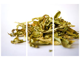 3-piece-canvas-print-tea-leaves