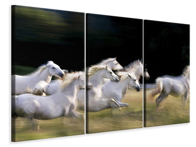 3-piece-canvas-print-ten