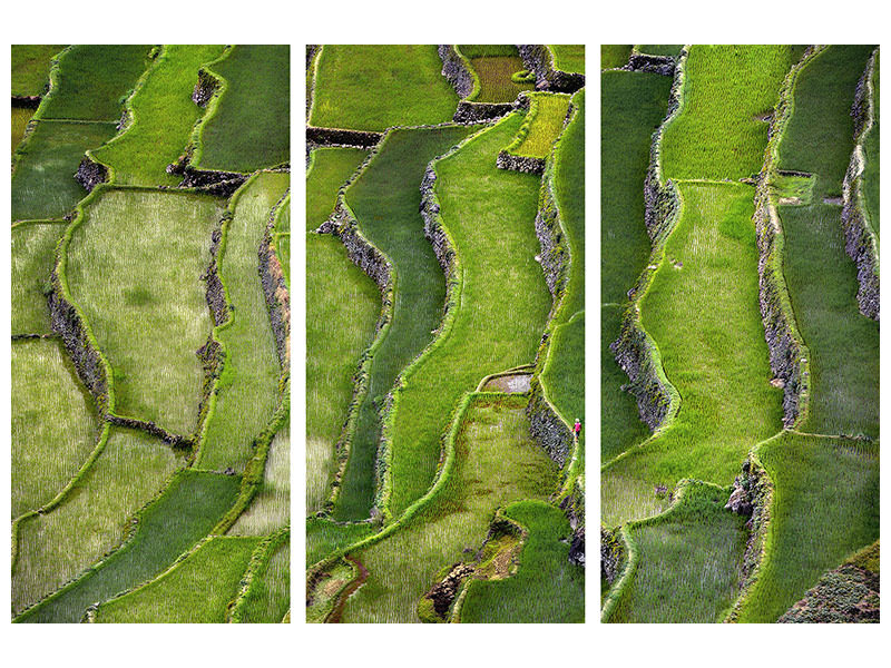 3-piece-canvas-print-terrace-walking