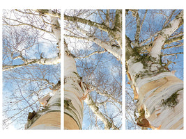 3-piece-canvas-print-the-2-birches