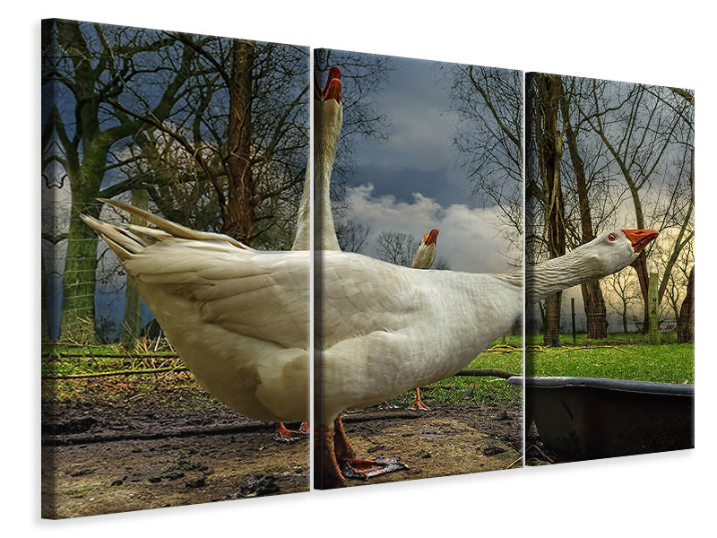 3-piece-canvas-print-the-3-geese