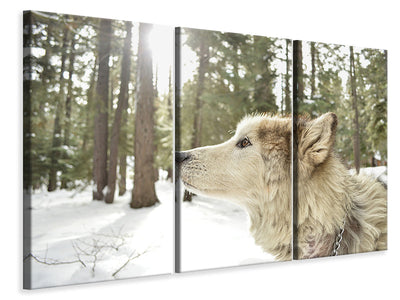 3-piece-canvas-print-the-alaskan-malamute