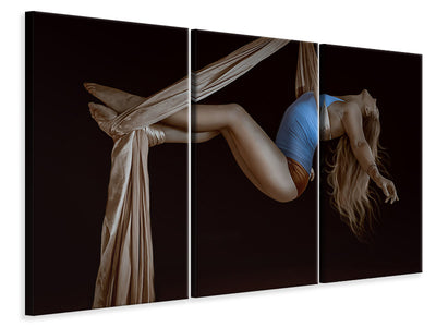 3-piece-canvas-print-the-artist