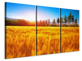 3-piece-canvas-print-the-autumn