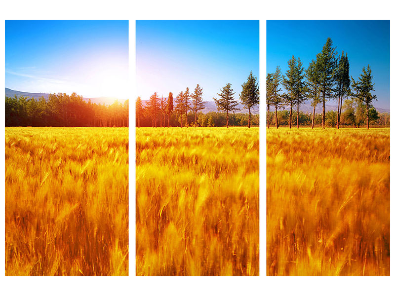 3-piece-canvas-print-the-autumn