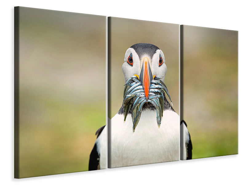 3-piece-canvas-print-the-big-catch