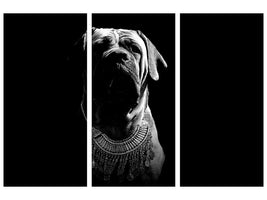 3-piece-canvas-print-the-boerboel-sw