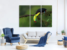 3-piece-canvas-print-the-colors-of-costa-rica