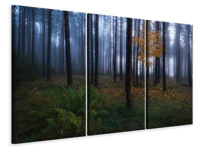 3-piece-canvas-print-the-dark-light