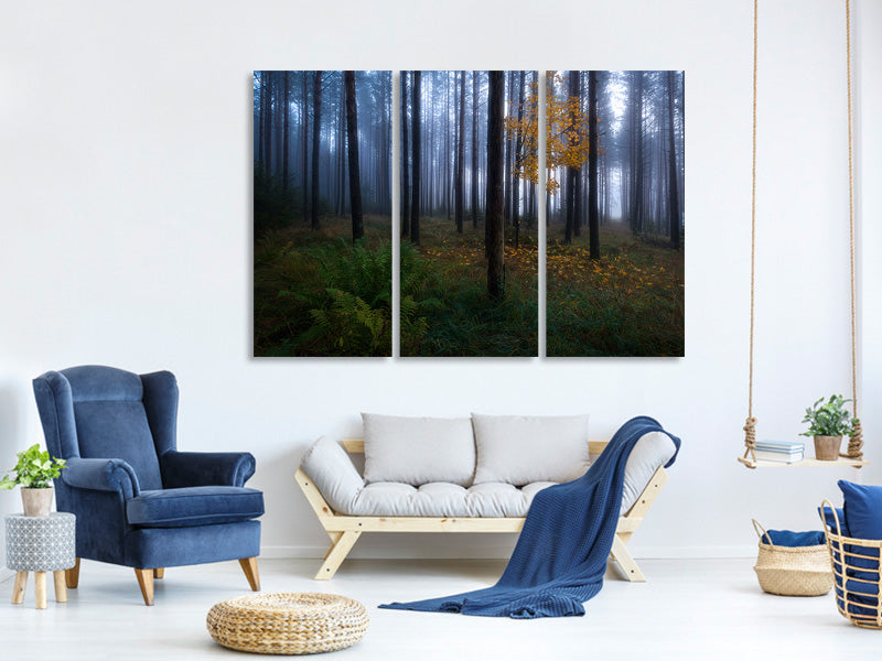 3-piece-canvas-print-the-dark-light