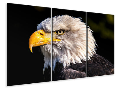 3-piece-canvas-print-the-eagle-head