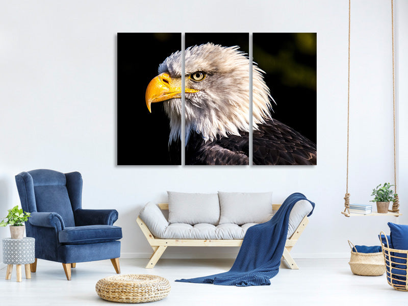 3-piece-canvas-print-the-eagle-head
