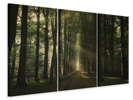 3-piece-canvas-print-the-essential