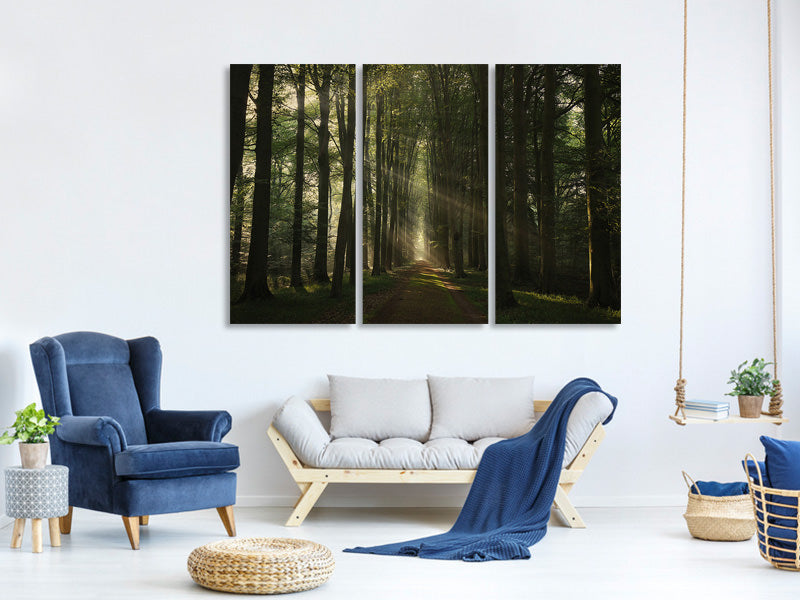 3-piece-canvas-print-the-essential