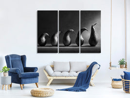 3-piece-canvas-print-the-evolution