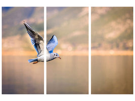 3-piece-canvas-print-the-flying-seagull